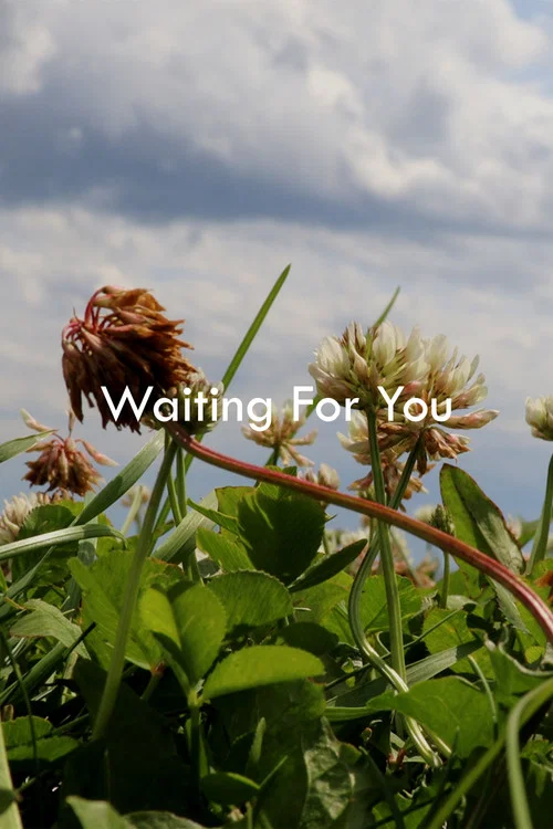 Waiting For You постер