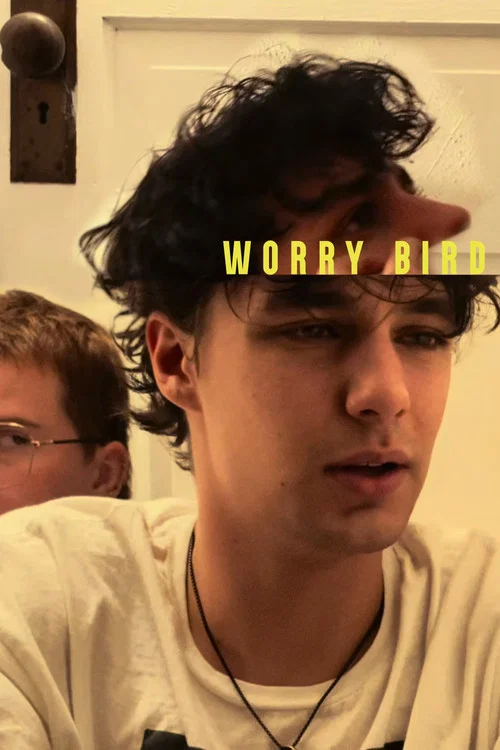 Worry Bird постер