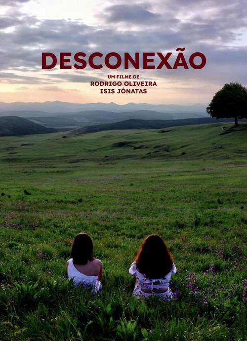 Desconexão постер