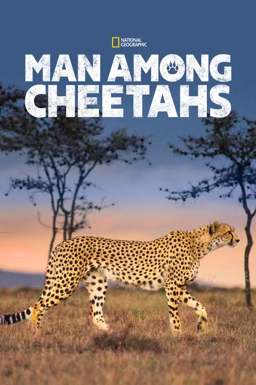 Man Among Cheetahs постер