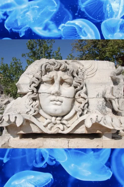 Medusa постер