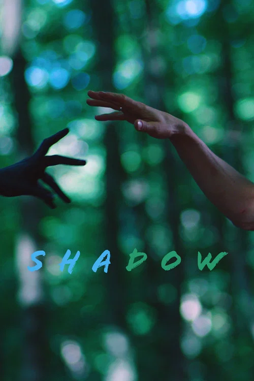 Shadow постер