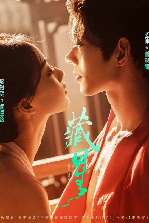 藏星 постер