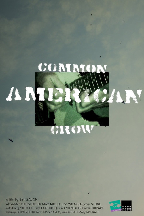 Common American Crow постер