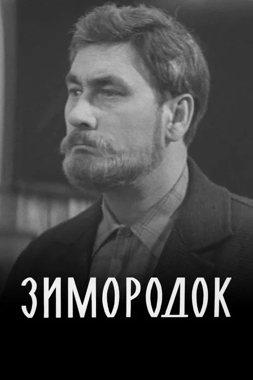 Зимородок постер