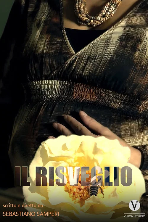 Il risveglio постер