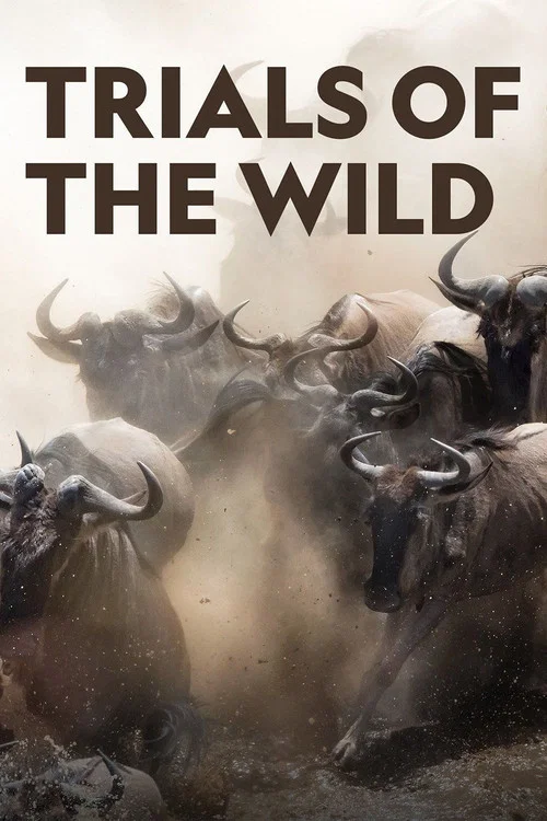 Trials of the Wild постер