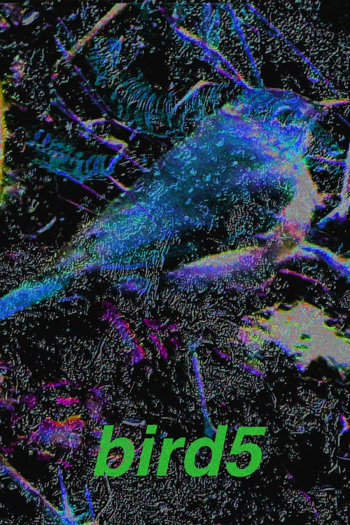 bird5.mp4 постер