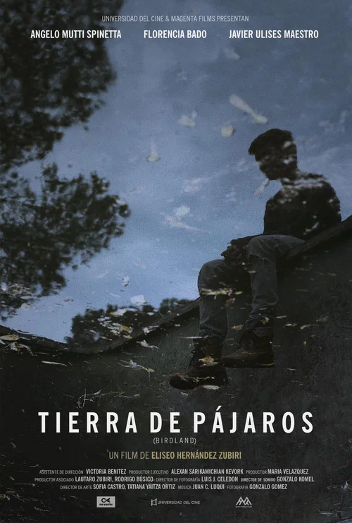 Tierra de Pájaros постер