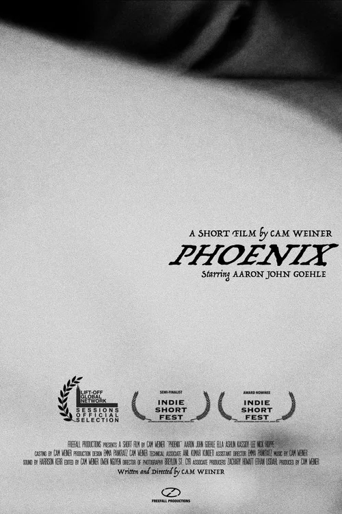 Phoenix постер