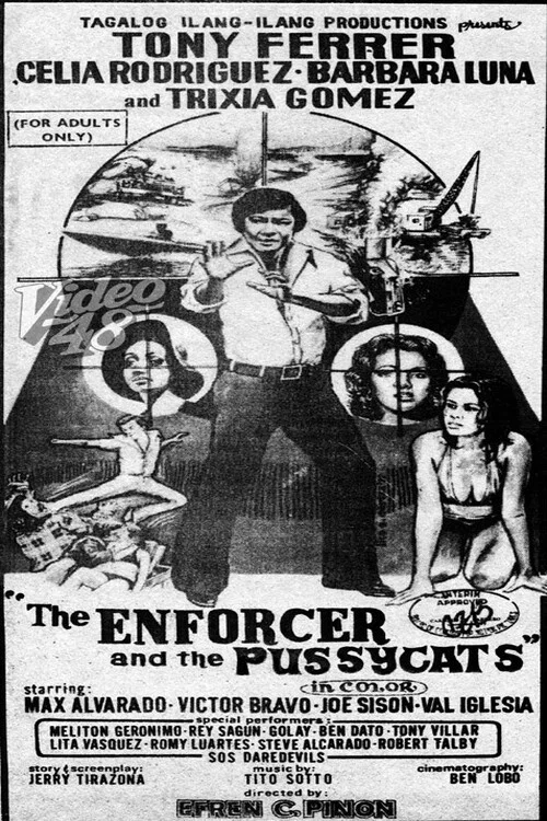The Enforcer and the Pussycats постер