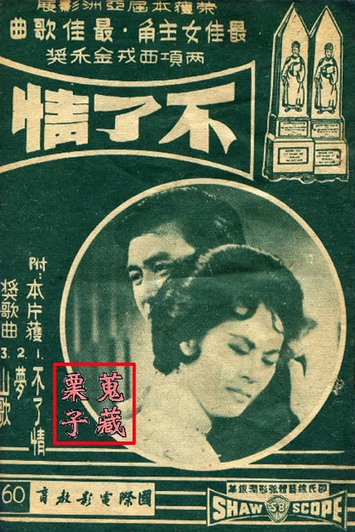 不了情 постер