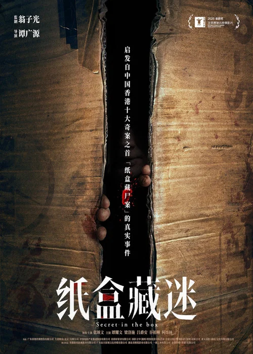 纸盒藏迷 постер
