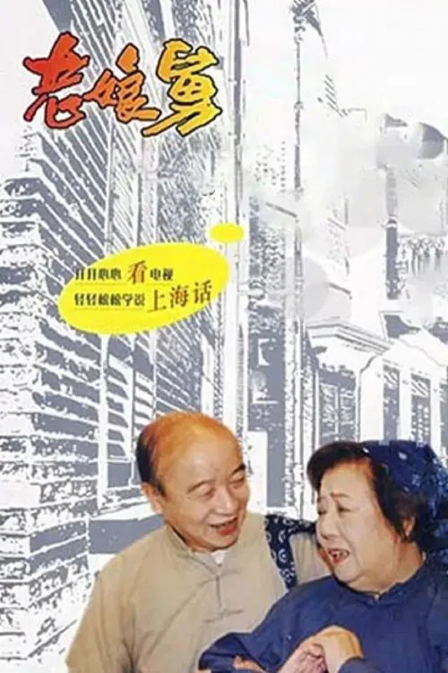 老娘舅 постер