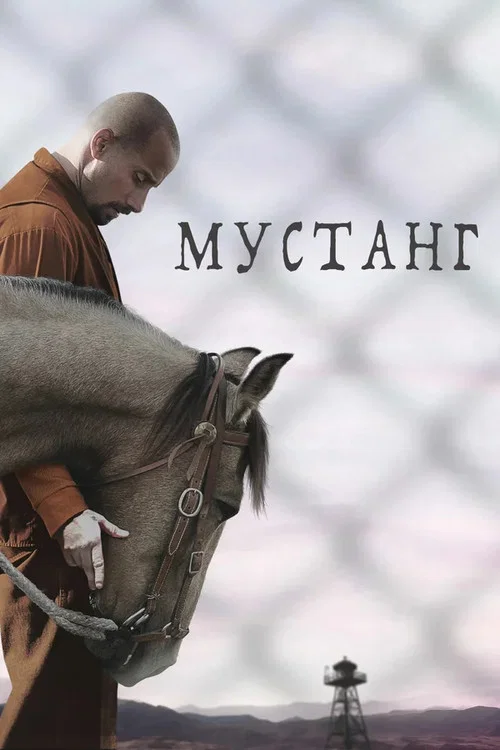 Мустанг постер