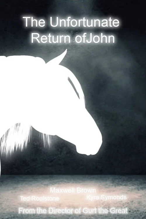 The Unfortunate Return of John постер