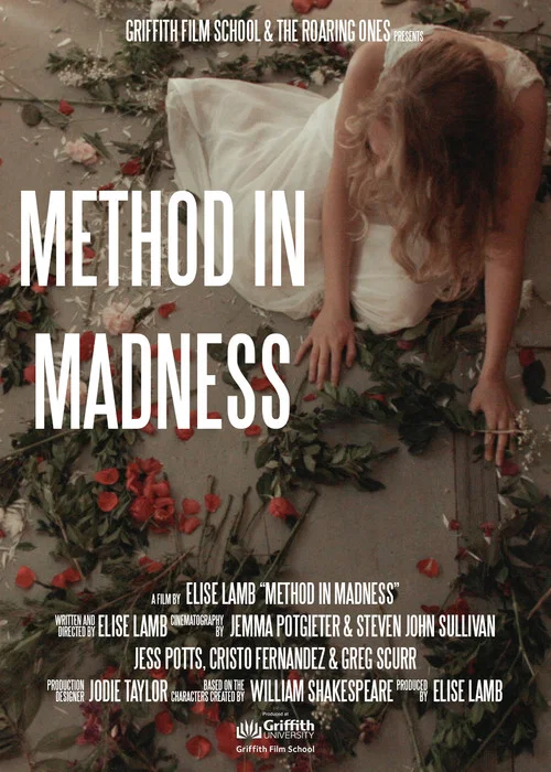 Method In Madness постер