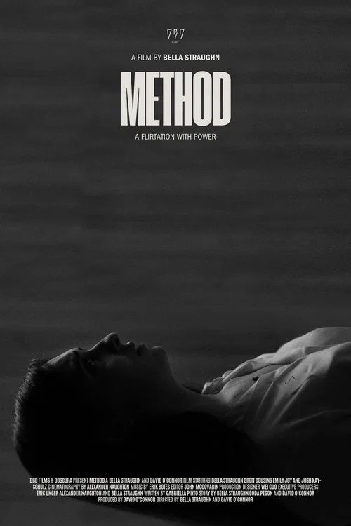 Method постер