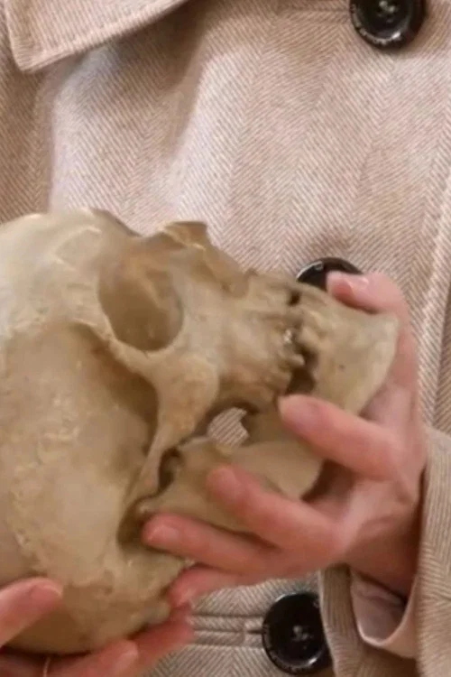 Leibnitz' Skull постер