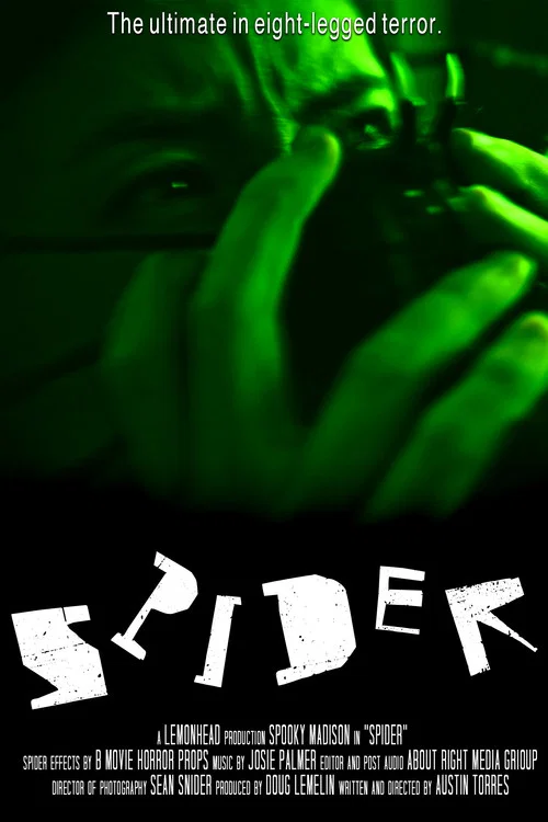 Spider постер