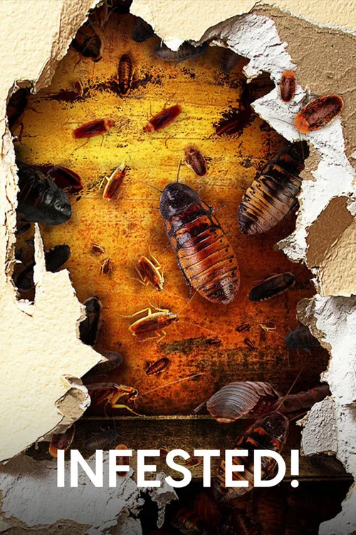 Infested постер