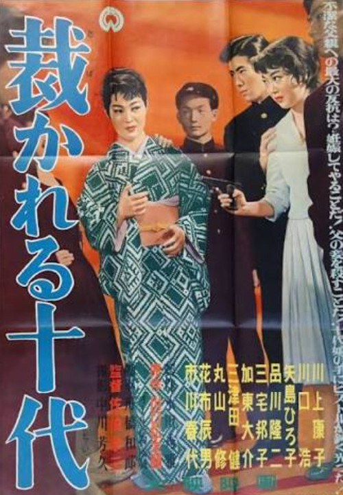 裁かれる十代 постер