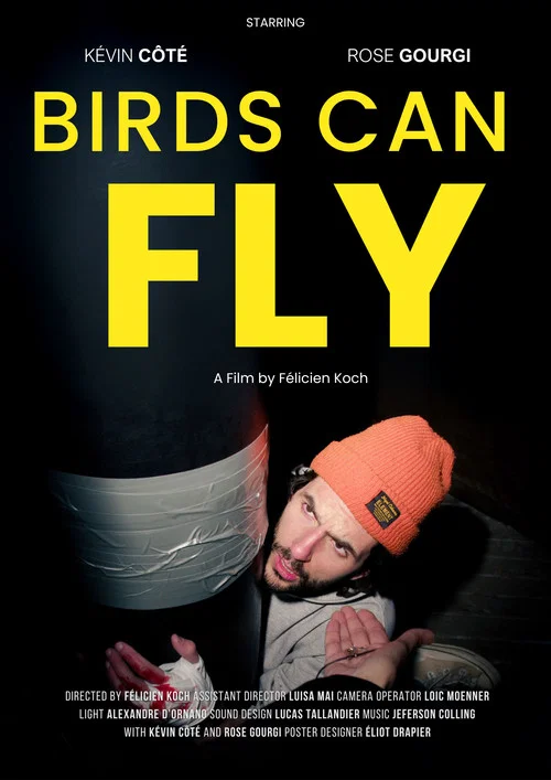 Birds can fly постер