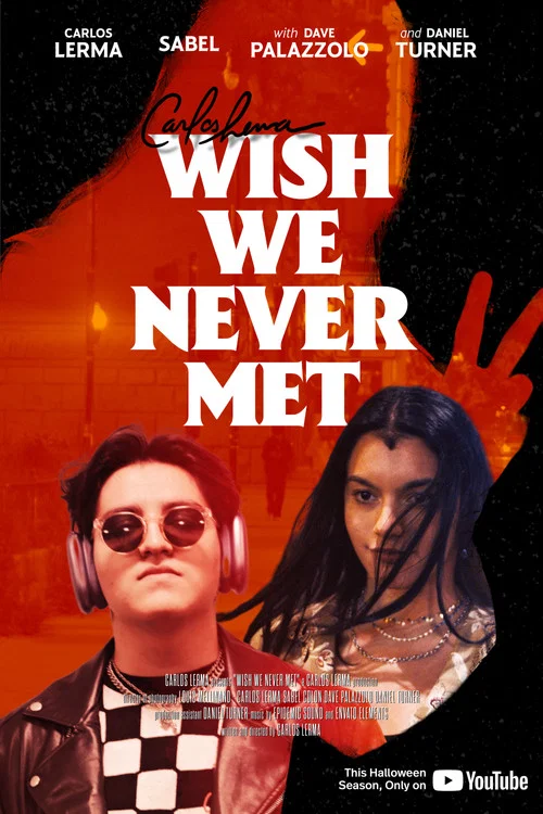 Wish We Never Met постер