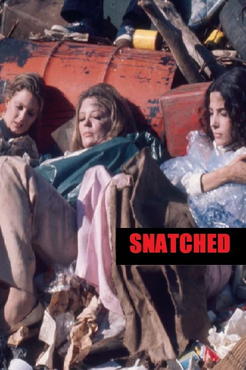 Snatched постер