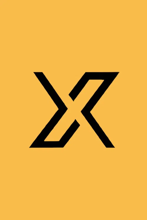 X调查 постер