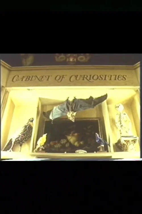 Cabinet of Curiosities постер