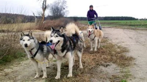 Эпизод 4