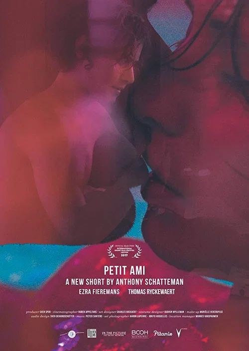 Petit ami постер