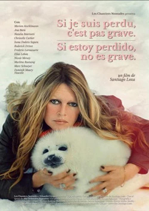 Si estoy perdido, no es grave постер