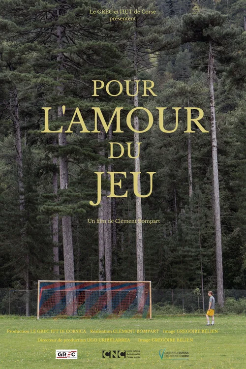 Pour l'amour du jeu постер
