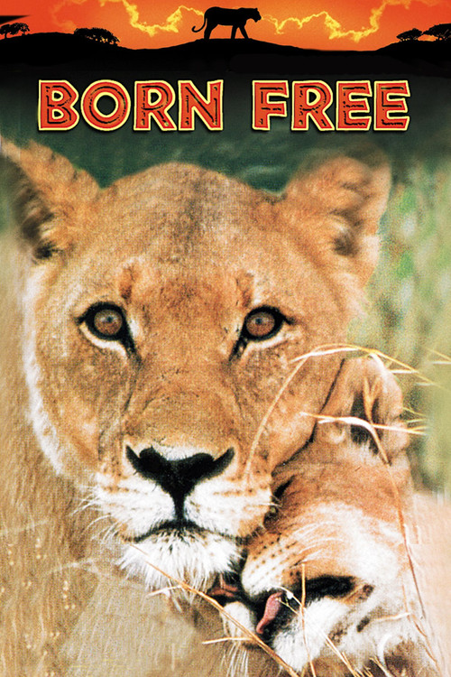 Born Free постер