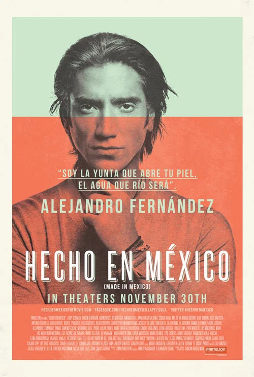 Hecho en México постер