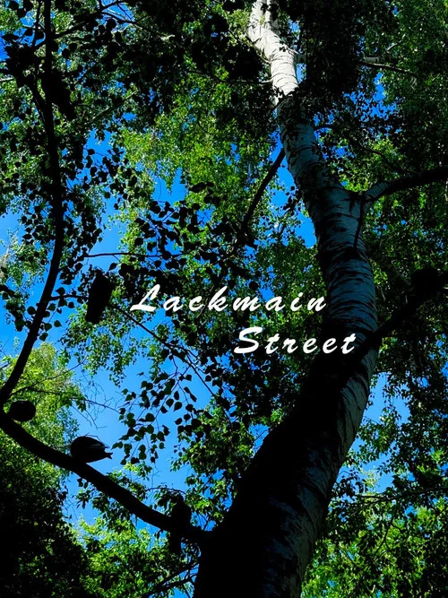 Lackmain Street постер