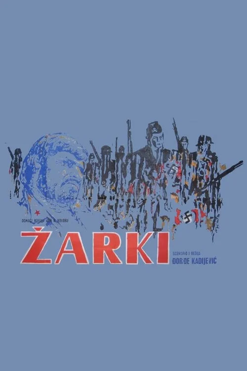 Žarki постер