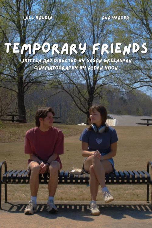 Temporary Friends постер
