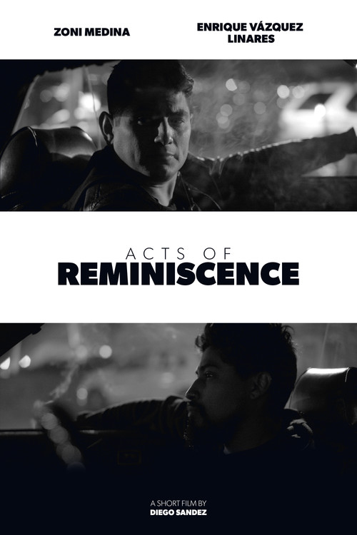 Acts of Reminiscence постер