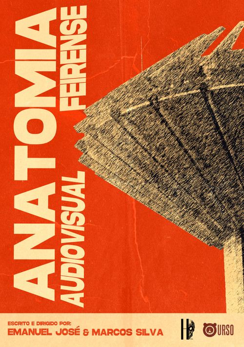 Anatomia Audiovisual Feirense постер