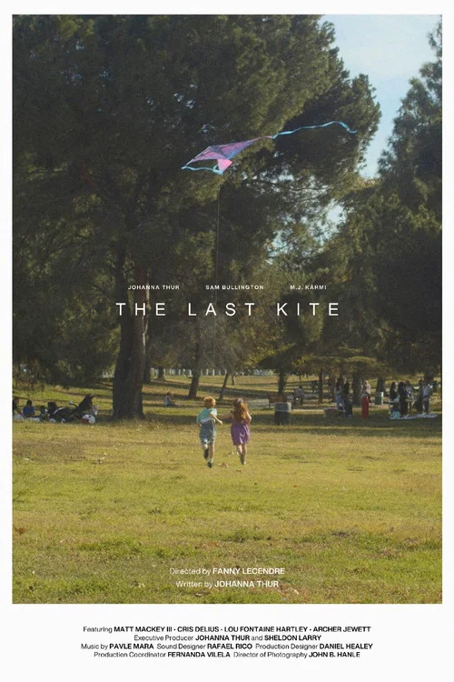 The Last Kite постер