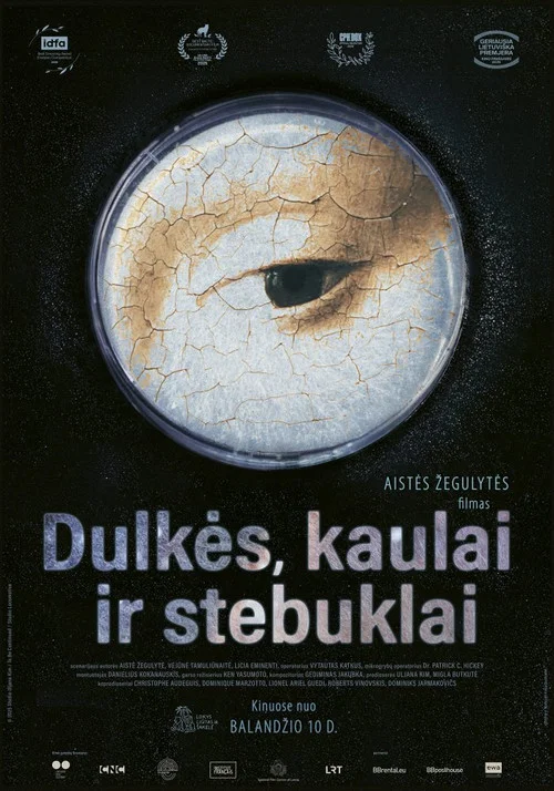 Dulkės, kaulai ir stebuklai постер