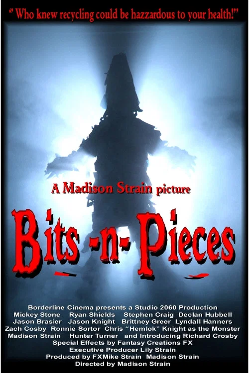 Bits-n-Pieces постер