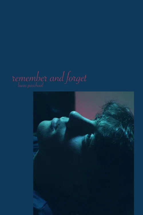remember and forget постер