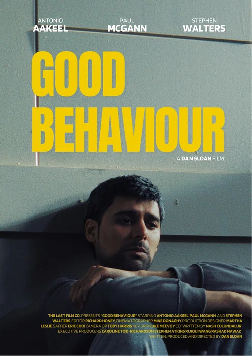 Good Behaviour постер