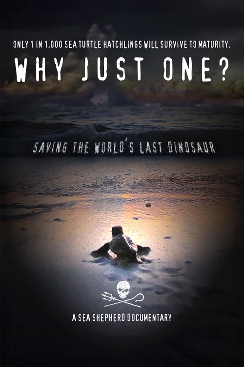 Why Just One? постер