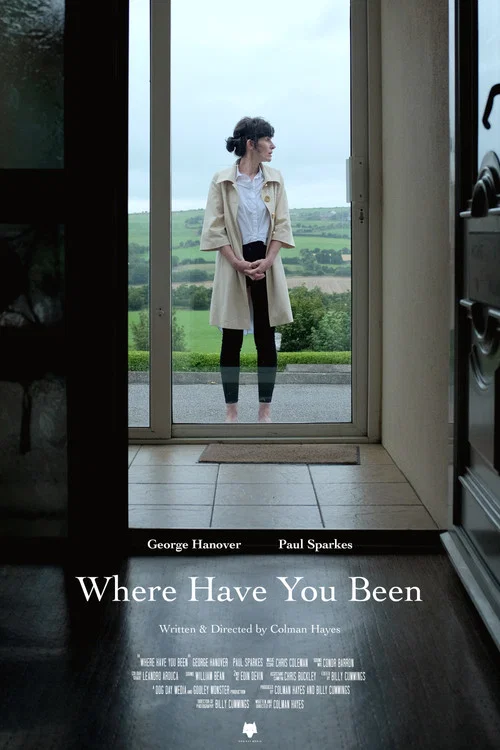 Where Have You Been постер