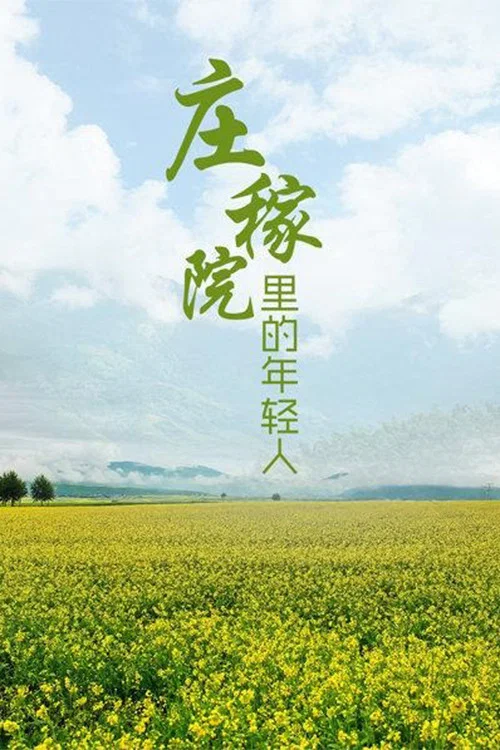 庄稼院里的年轻人 постер